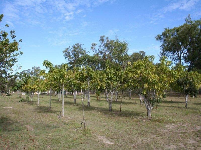 104 Buxton Road, Isis River QLD 4660