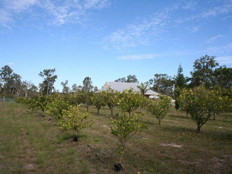 104 Buxton Road, Isis River QLD 4660