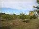 104 Buxton Road, Isis River QLD 4660