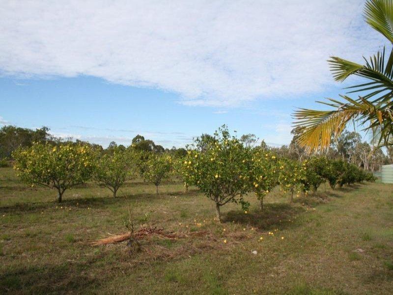 104 Buxton Road, Isis River QLD 4660