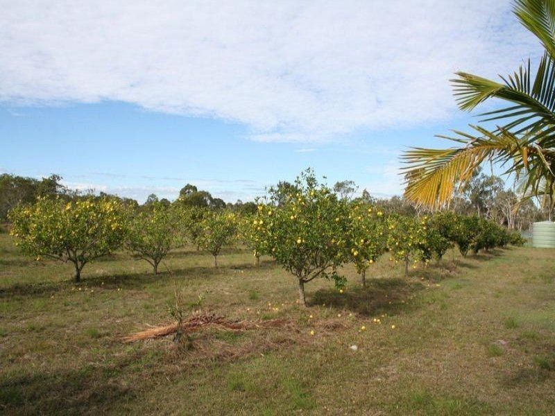 104 Buxton Road, Isis River QLD 4660