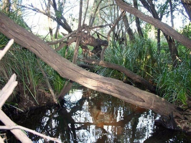 Apple Tree Creek QLD 4660