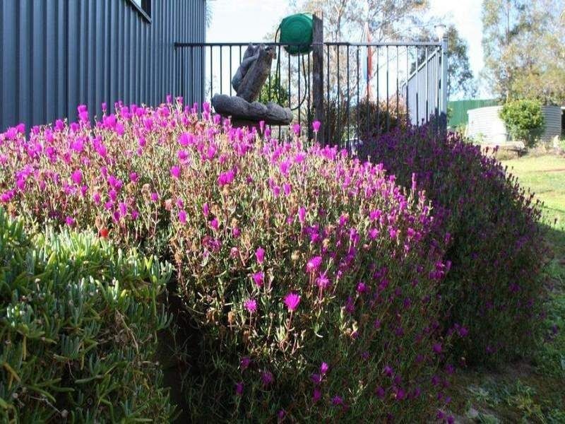 Apple Tree Creek QLD 4660