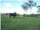 284 Railway Road, Booyal QLD 4671