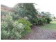 1 Greens Road, South Isis QLD 4660