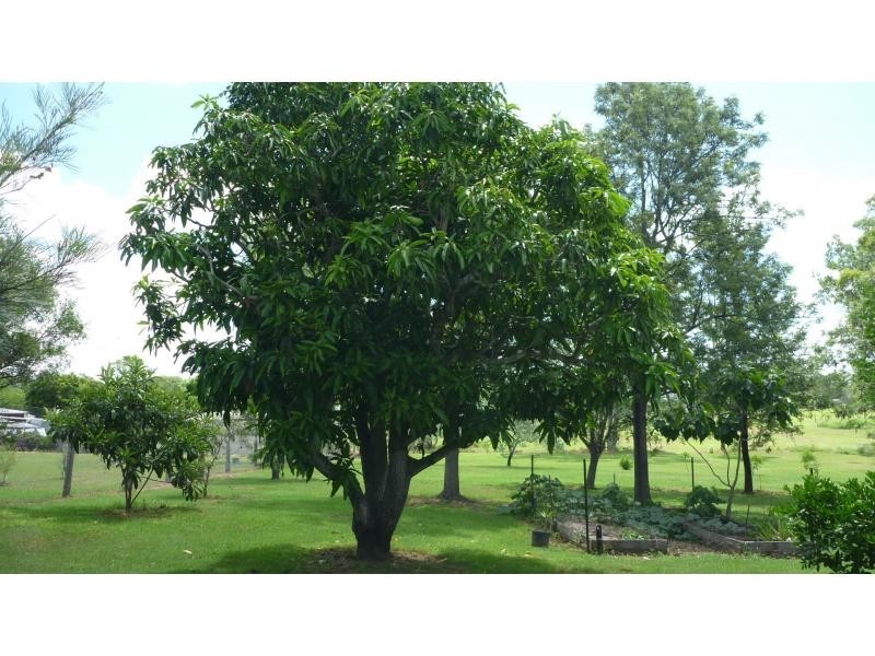 Biggenden QLD 4621