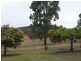 8049 Isis Highway, Dallarnil QLD 4621