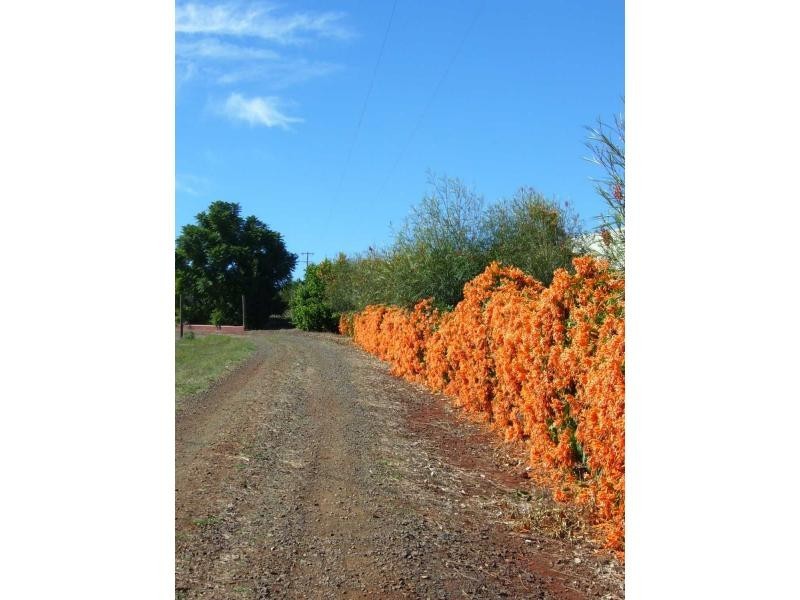 121 Butchers Road, Childers, Childers QLD 4660