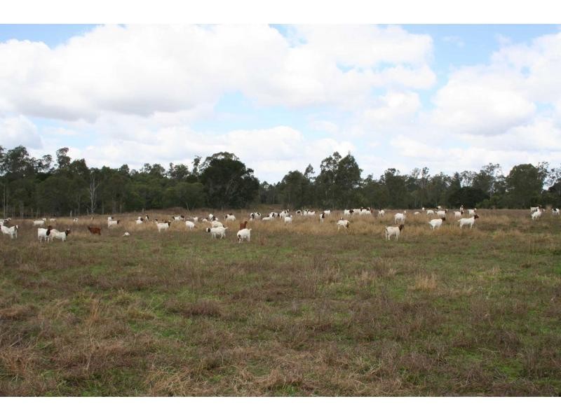 84 Foleys Road, Childers QLD 4660