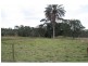 84 Foleys Road, Childers QLD 4660