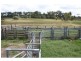 84 Foleys Road, Childers QLD 4660
