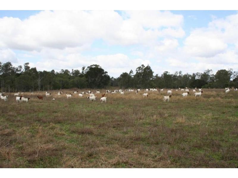 84 Foleys Road, Childers QLD 4660
