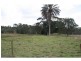84 Foleys Road, Childers QLD 4660