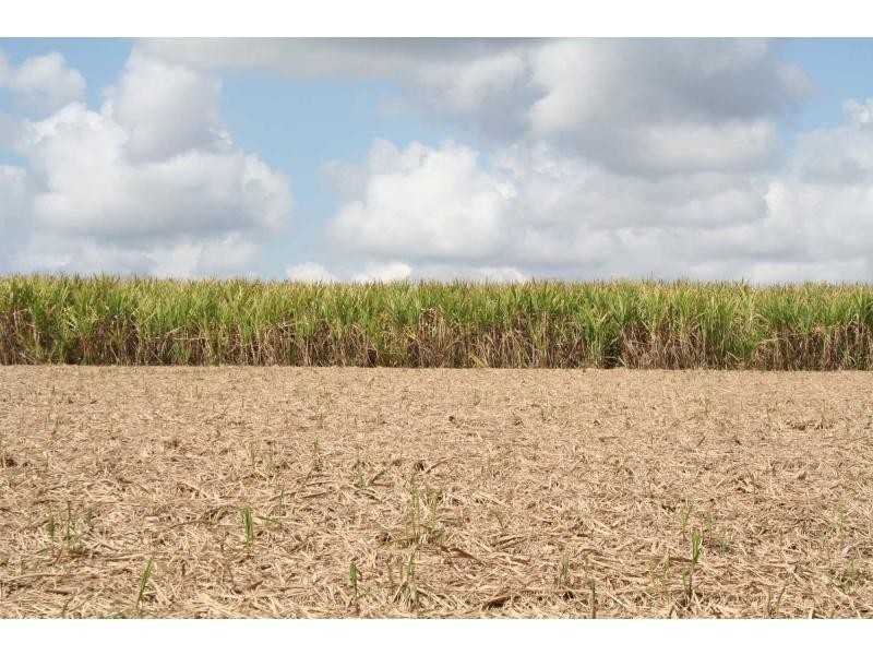 339 Garryowen Road, Redridge QLD 4660