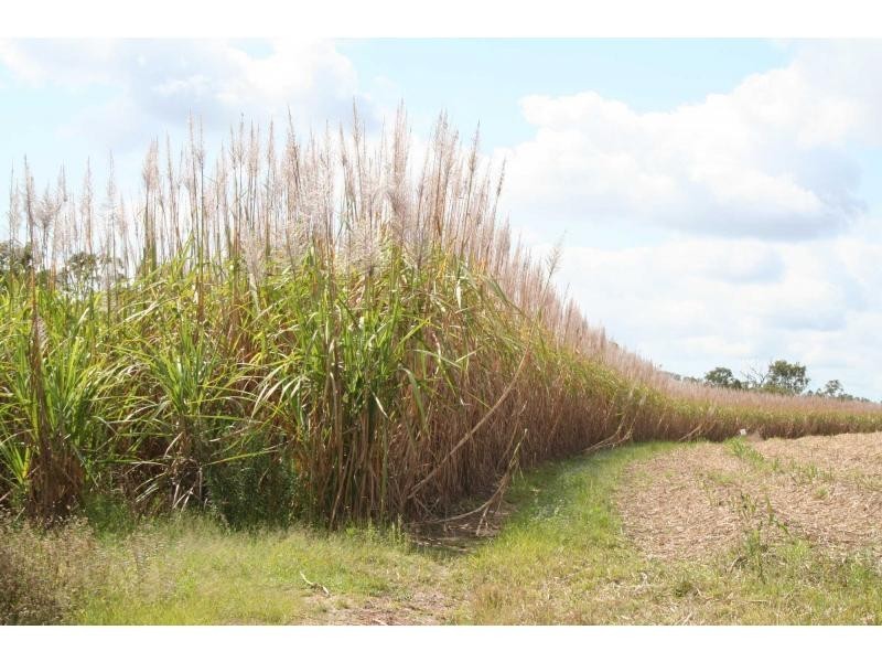 339 Garryowen Road, Redridge QLD 4660