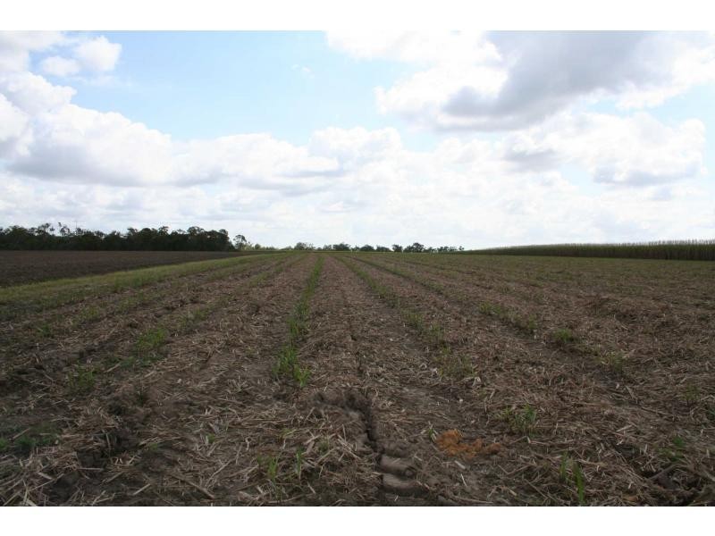 339 Garryowen Road, Redridge QLD 4660