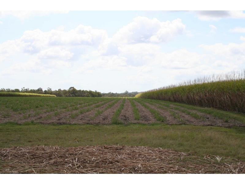 339 Garryowen Road, Redridge QLD 4660