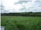 Childers QLD 4660
