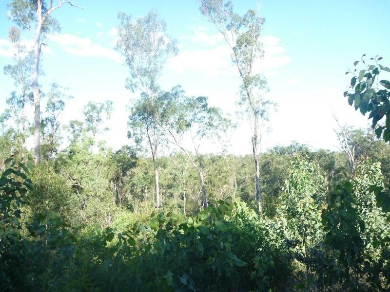 1456 St Agnes Creek Road, Morganville QLD 4671