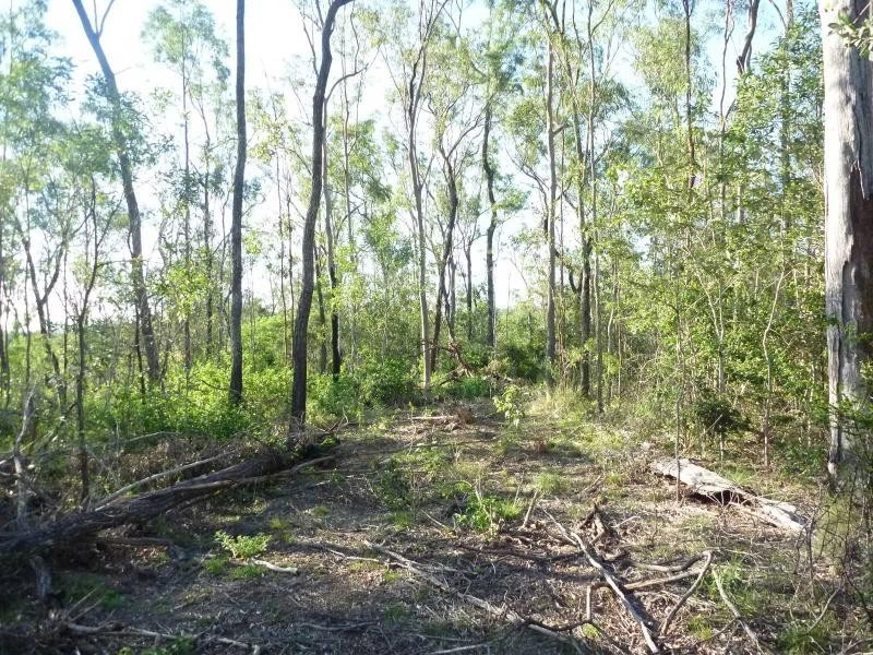 1456 St Agnes Creek Road, Morganville QLD 4671