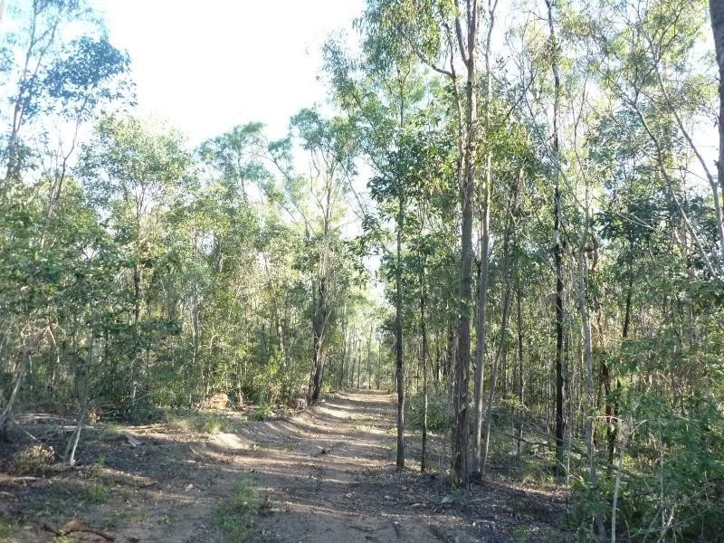 1456 St Agnes Creek Road, Morganville QLD 4671