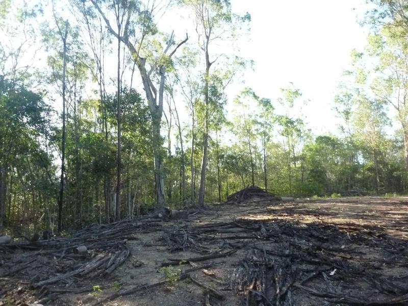1456 St Agnes Creek Road, Morganville QLD 4671