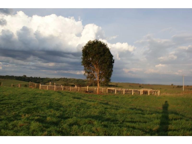 Apple Tree Creek QLD 4660