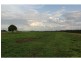 Apple Tree Creek QLD 4660
