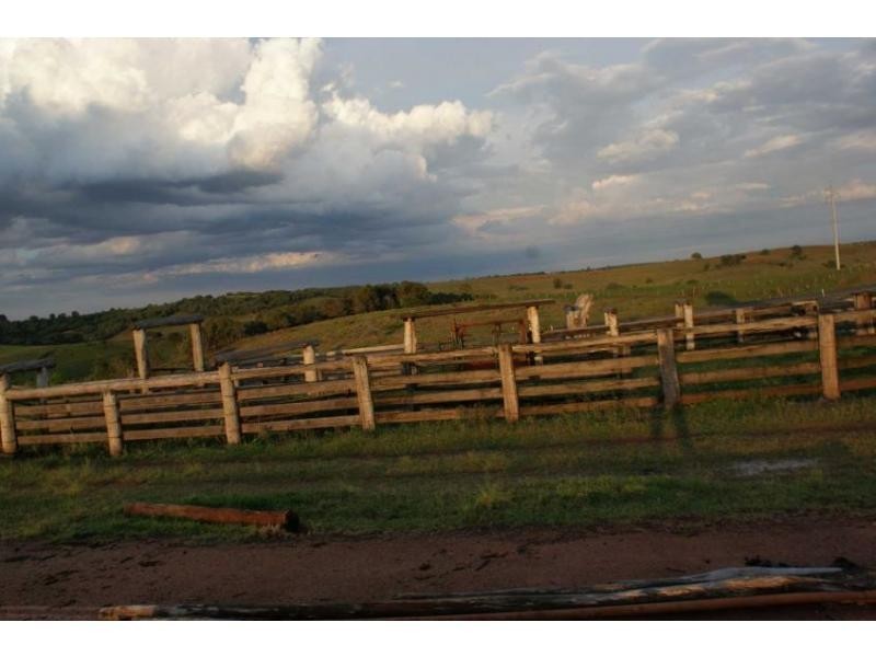 Apple Tree Creek QLD 4660