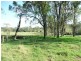 Apple Tree Creek QLD 4660