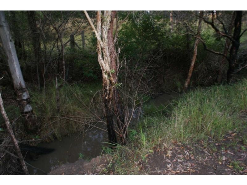 Apple Tree Creek QLD 4660