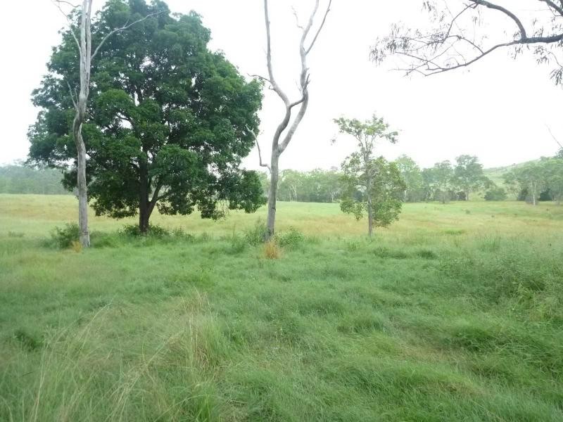 Apple Tree Creek QLD 4660