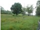 Apple Tree Creek QLD 4660