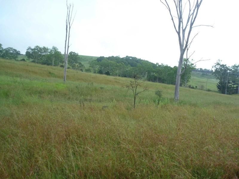 Apple Tree Creek QLD 4660