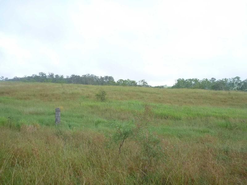 Apple Tree Creek QLD 4660