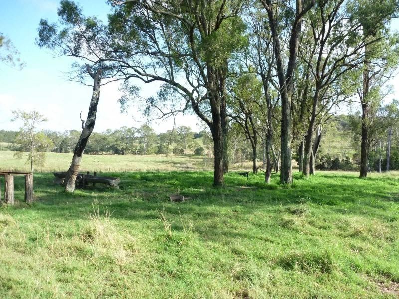 Apple Tree Creek QLD 4660