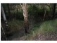 Apple Tree Creek QLD 4660