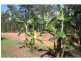 72 Lakeview Drive, Apple Tree Creek QLD 4660