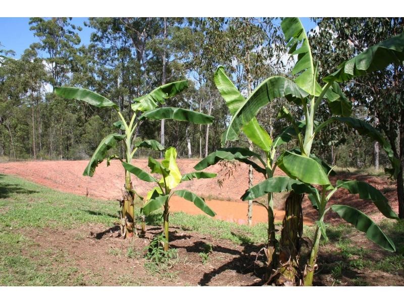 72 Lakeview Drive, Apple Tree Creek QLD 4660