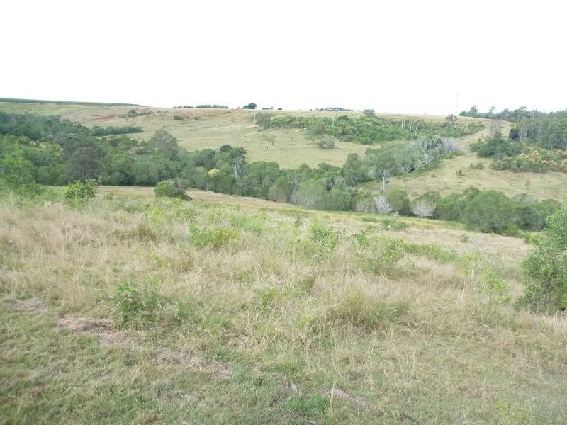 Isis Central QLD 4660