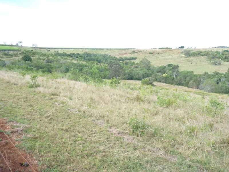 Isis Central QLD 4660