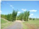 113 ATC Hall Road, Apple Tree Creek QLD 4660