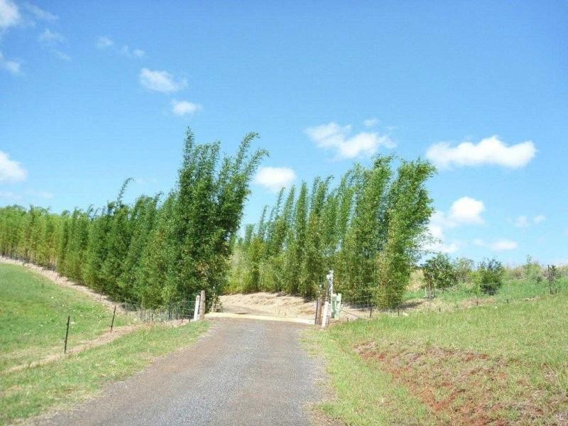 113 ATC Hall Road, Apple Tree Creek QLD 4660