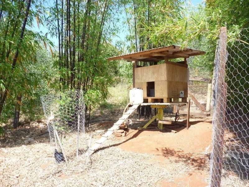 113 ATC Hall Road, Apple Tree Creek QLD 4660
