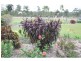 162 Guppys Road, Eureka QLD 4660