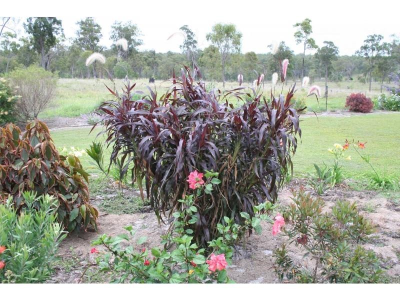 162 Guppys Road, Eureka QLD 4660