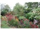 162 Guppys Road, Eureka QLD 4660