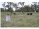 162 Guppys Road, Eureka QLD 4660
