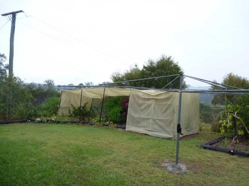 426 Mingo Road, Morganville QLD 4671