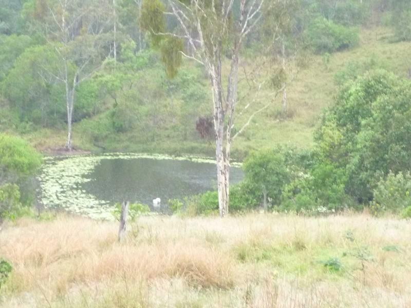 426 Mingo Road, Morganville QLD 4671